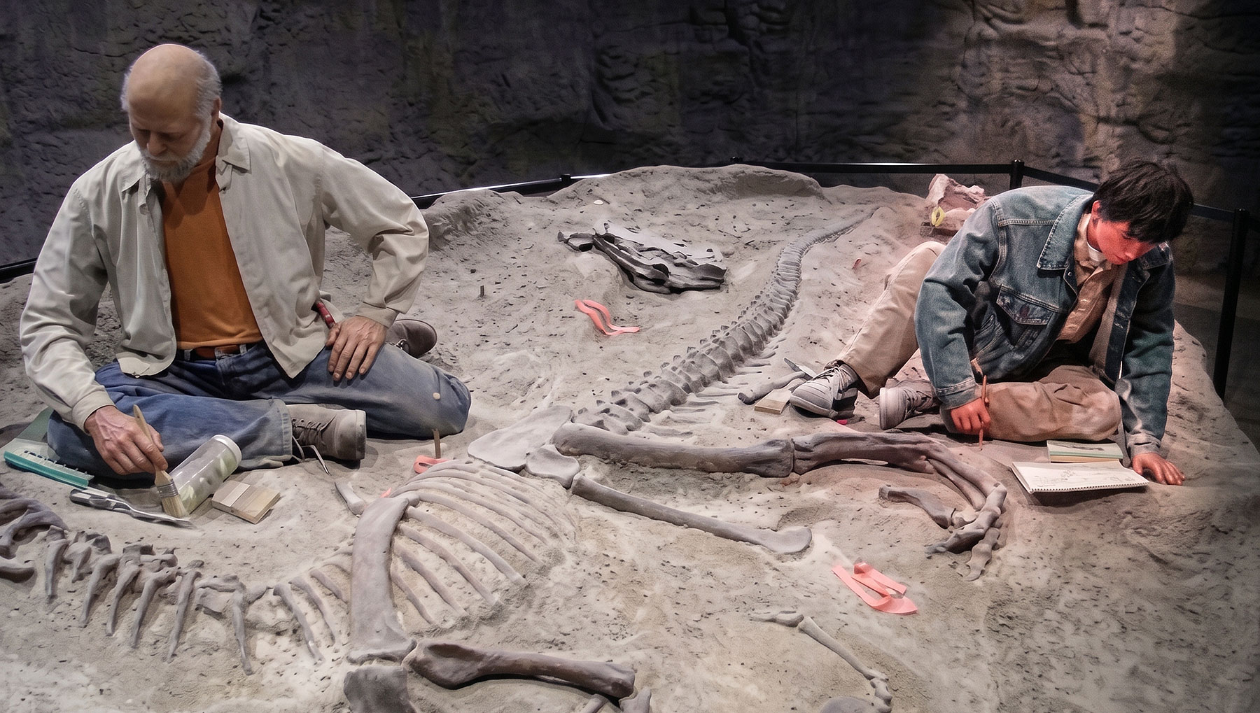 Fossil inspection